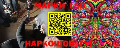 дмт Донской